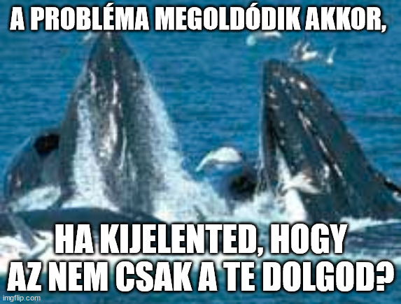 A PROBLÉMA MEGOLDÓDIK AKKOR, HA KIJELENTED, HOGY AZ NEM CSAK A TE DOLGOD? | made w/ Imgflip meme maker