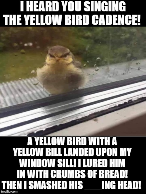 Yellow Bird Cadence | I HEARD YOU SINGING THE YELLOW BIRD CADENCE! A YELLOW BIRD WITH A YELLOW BILL LANDED UPON MY WINDOW SILL! I LURED HIM IN WITH CRUMBS OF BREAD! THEN I SMASHED HIS ___ING HEAD! | image tagged in angry birds,smashing | made w/ Imgflip meme maker