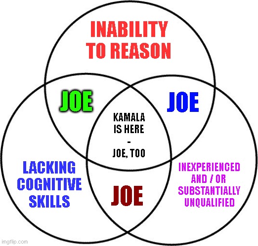 Venn diagram | INABILITY
TO REASON; JOE; JOE; KAMALA
IS HERE
  -  
JOE, TOO; LACKING
COGNITIVE
SKILLS; INEXPERIENCED
AND / OR 
SUBSTANTIALLY
UNQUALIFIED; JOE | image tagged in venn diagram | made w/ Imgflip meme maker