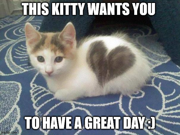cute cat hearts | THIS KITTY WANTS YOU; TO HAVE A GREAT DAY :) | image tagged in cute cat | made w/ Imgflip meme maker