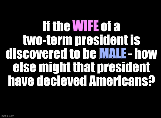DECEIT FRAUD CORRUPTION TREASON | WIFE; If the WIFE of a two-term president is discovered to be MALE - how else might that president have decieved Americans? MALE | image tagged in blank black | made w/ Imgflip meme maker