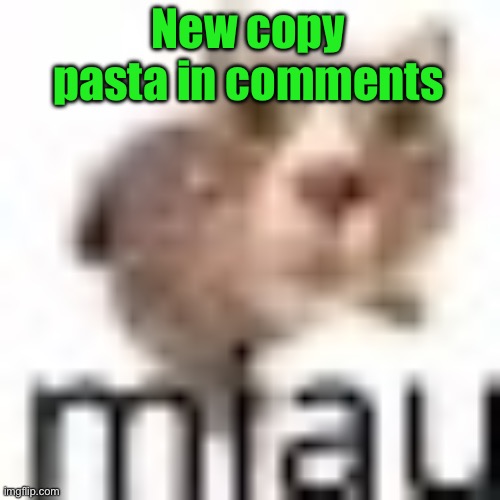 miau very small | New copy pasta in comments | image tagged in miau very small | made w/ Imgflip meme maker