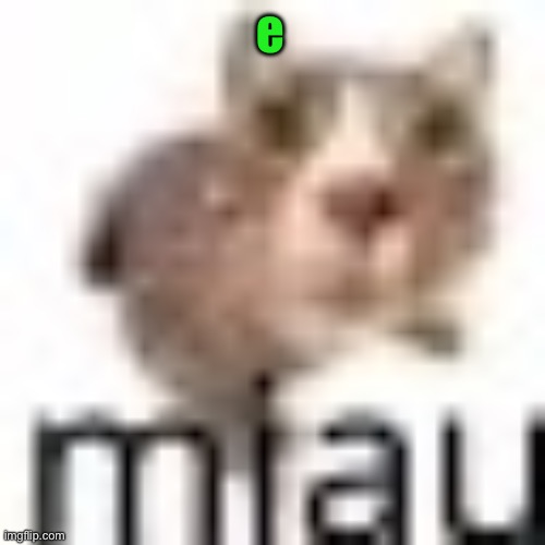 miau very small | e | image tagged in miau very small | made w/ Imgflip meme maker