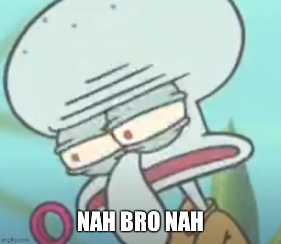 Squidward bruh | NAH BRO NAH | image tagged in squidward bruh | made w/ Imgflip meme maker