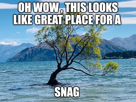 Fishing memes | OH WOW , THIS LOOKS LIKE GREAT PLACE FOR A; SNAG | image tagged in fishing | made w/ Imgflip meme maker