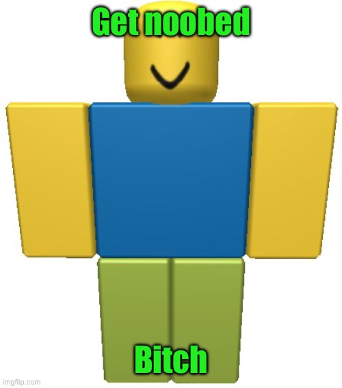 ROBLOX Noob | Get noobed; Bitch | image tagged in roblox noob | made w/ Imgflip meme maker