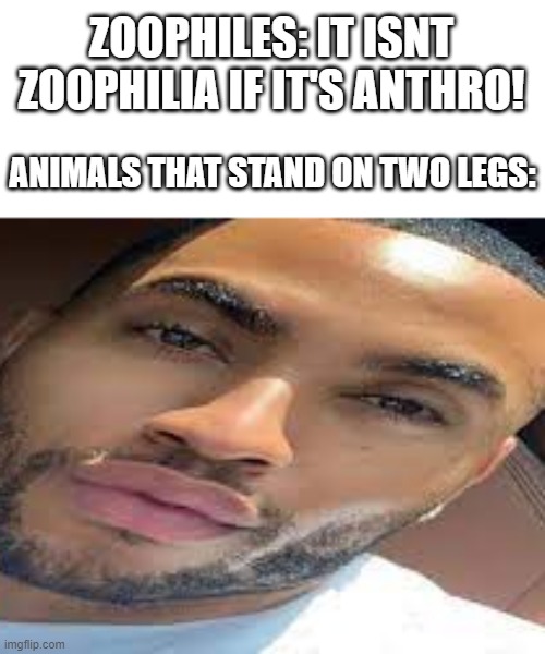 lightskin stare | ZOOPHILES: IT ISNT ZOOPHILIA IF IT'S ANTHRO! ANIMALS THAT STAND ON TWO LEGS: | image tagged in lightskin stare | made w/ Imgflip meme maker