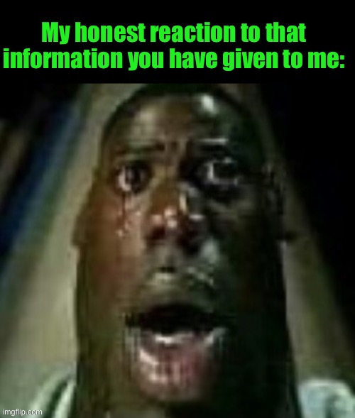 terror | My honest reaction to that information you have given to me: | image tagged in terror | made w/ Imgflip meme maker