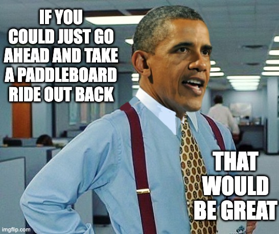 Suspicious | IF YOU COULD JUST GO AHEAD AND TAKE A PADDLEBOARD RIDE OUT BACK; THAT WOULD BE GREAT | image tagged in obama,chef | made w/ Imgflip meme maker