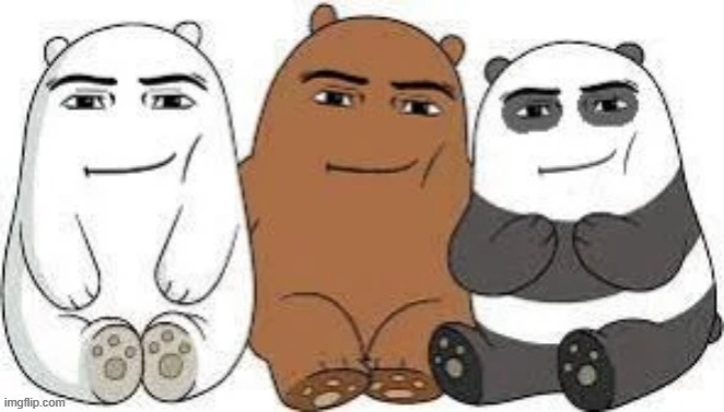 We Bear Man Face | image tagged in we bear man face | made w/ Imgflip meme maker