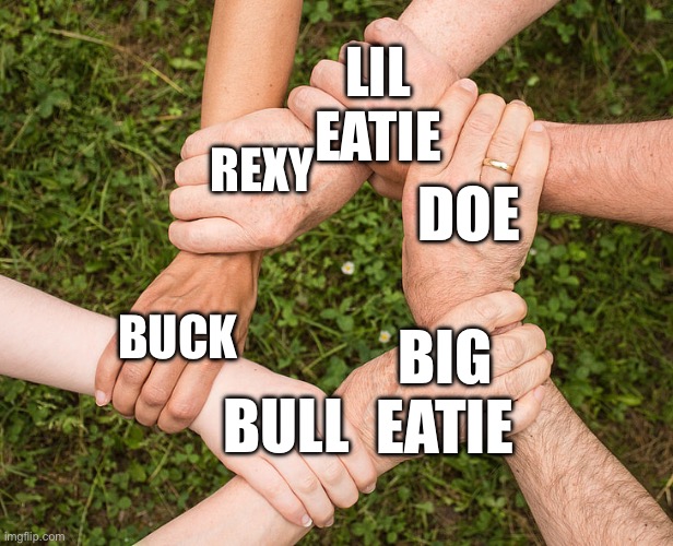 5 People Holding Hands | REXY BUCK DOE BULL BIG EATIE LIL EATIE | image tagged in 5 people holding hands | made w/ Imgflip meme maker