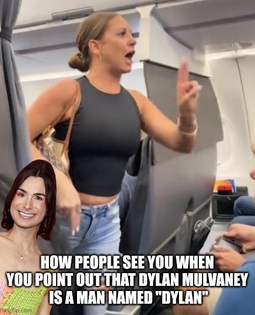 Plane Lady Not Real | HOW PEOPLE SEE YOU WHEN YOU POINT OUT THAT DYLAN MULVANEY
 IS A MAN NAMED "DYLAN" | image tagged in plane lady not real | made w/ Imgflip meme maker