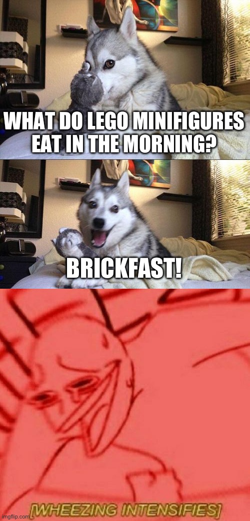 Lol | WHAT DO LEGO MINIFIGURES EAT IN THE MORNING? BRICKFAST! | image tagged in memes,bad pun dog,lego,wheezing intensifies | made w/ Imgflip meme maker
