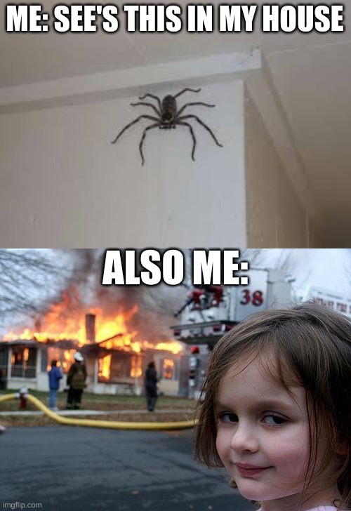 No spider anymore. | ME: SEE'S THIS IN MY HOUSE; ALSO ME: | image tagged in memes,disaster girl,funny,fun,blank white template,relatable | made w/ Imgflip meme maker