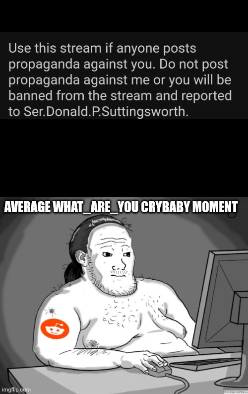 He's doing the crybaby to the sitemods more than ever now | AVERAGE WHAT_ARE_YOU CRYBABY MOMENT | image tagged in average redditor,memes,bruh | made w/ Imgflip meme maker