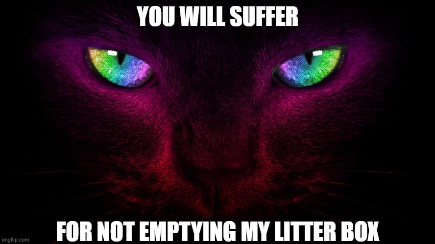 you will suffer | YOU WILL SUFFER; FOR NOT EMPTYING MY LITTER BOX | image tagged in grumpy cat | made w/ Imgflip meme maker