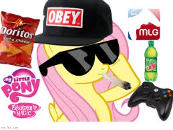 MLG Pony | image tagged in mlg pony | made w/ Imgflip meme maker