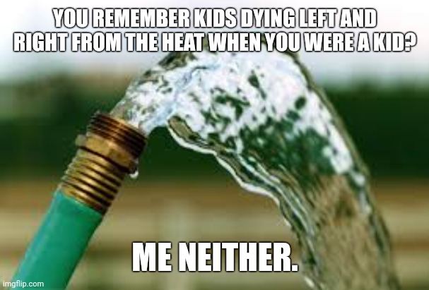 We didn't have the covid vaccine back then. | YOU REMEMBER KIDS DYING LEFT AND RIGHT FROM THE HEAT WHEN YOU WERE A KID? ME NEITHER. | image tagged in memes | made w/ Imgflip meme maker