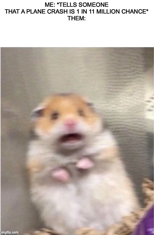 Idk why ya’ll scared of flying | ME: *TELLS SOMEONE THAT A PLANE CRASH IS 1 IN 11 MILLION CHANCE*
THEM: | image tagged in scared hamster | made w/ Imgflip meme maker