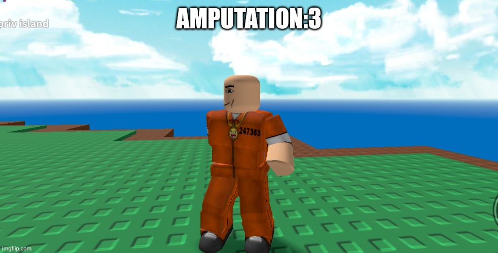 Roblox natural disasters survival | AMPUTATION:3 | image tagged in amputee | made w/ Imgflip meme maker