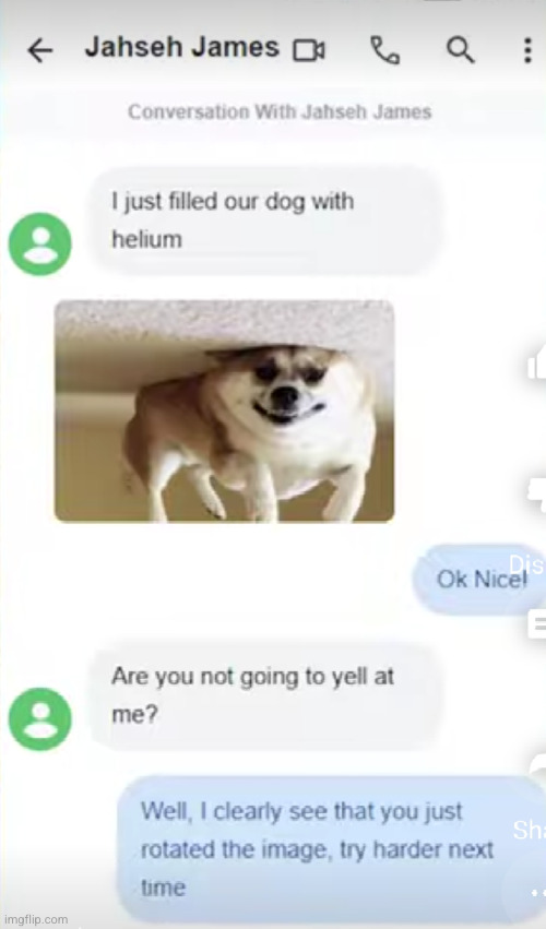 f in chat if you were tripping | image tagged in funny texts,funny,dogs,corgi,excuse me what the heck,not sure if | made w/ Imgflip meme maker