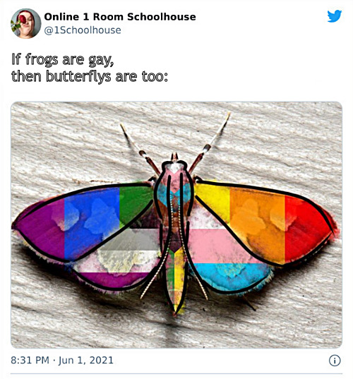 If and then equates | If frogs are gay, 
then butterflys are too: | image tagged in memes,lgbtq,butterfly | made w/ Imgflip meme maker