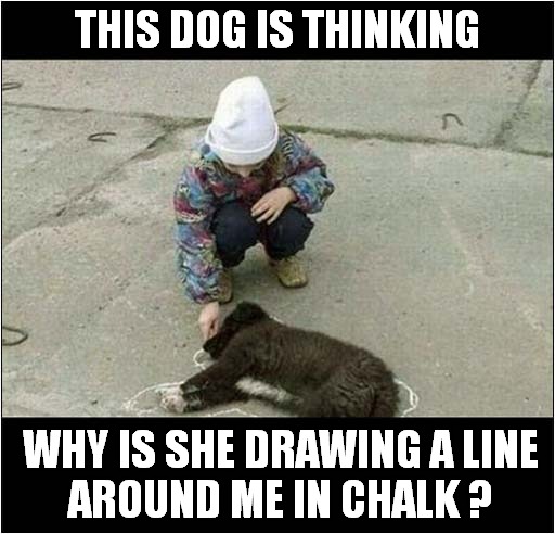 " Play Dead ! " | THIS DOG IS THINKING; WHY IS SHE DRAWING A LINE
AROUND ME IN CHALK ? | image tagged in dogs,playing,dead,csi | made w/ Imgflip meme maker