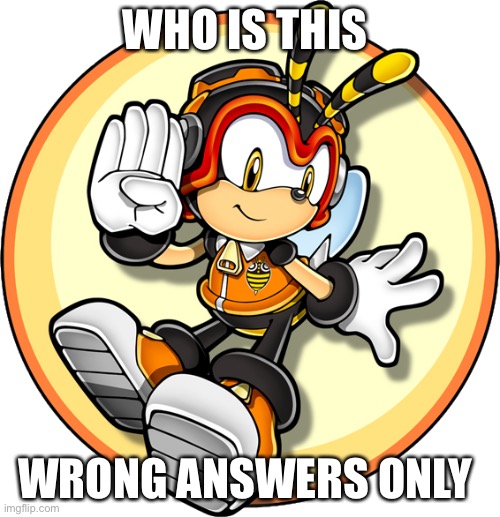 Charmy Bee | WHO IS THIS; WRONG ANSWERS ONLY | image tagged in charmy bee | made w/ Imgflip meme maker
