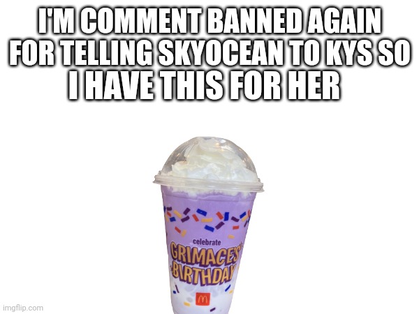 E | I'M COMMENT BANNED AGAIN FOR TELLING SKYOCEAN TO KYS SO; I HAVE THIS FOR HER | image tagged in no | made w/ Imgflip meme maker