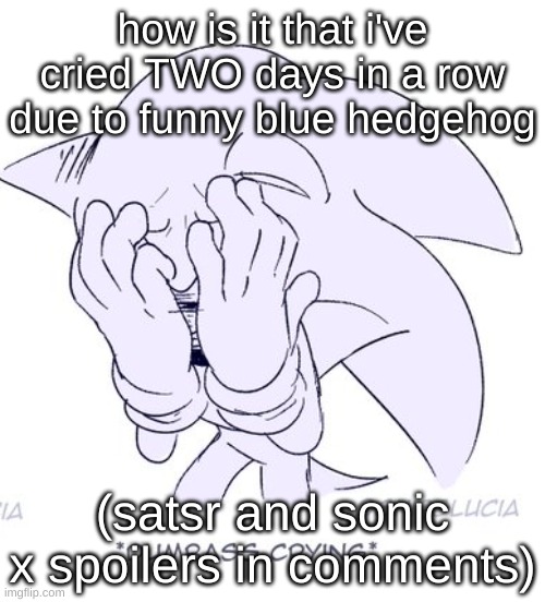 look in comments ifyw but it's really just pointless random rambling bcuz i wanna spill my thoughts somewhere | how is it that i've cried TWO days in a row due to funny blue hedgehog; (satsr and sonic x spoilers in comments) | image tagged in sonic dumbass crying | made w/ Imgflip meme maker