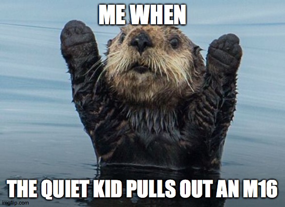 quiet kids | ME WHEN; THE QUIET KID PULLS OUT AN M16 | image tagged in hands up otter | made w/ Imgflip meme maker