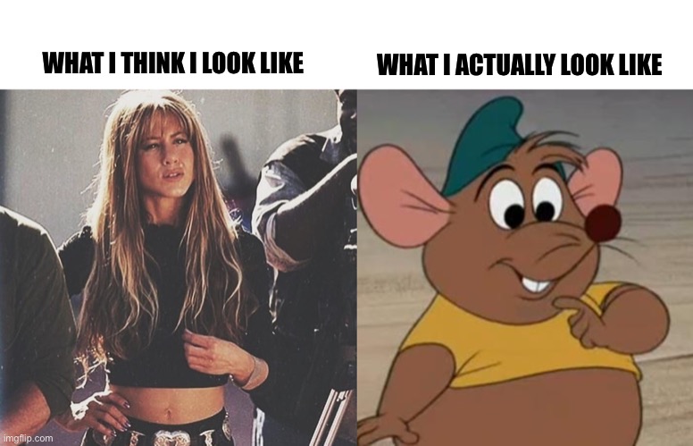 gotta leave room for self-improvement | WHAT I ACTUALLY LOOK LIKE; WHAT I THINK I LOOK LIKE | image tagged in funny,meme,jennifer aniston,gus gus,think versus actually | made w/ Imgflip meme maker