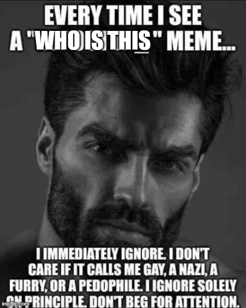 Every time I see a repost if meme | WHO IS THIS | image tagged in every time i see a repost if meme | made w/ Imgflip meme maker