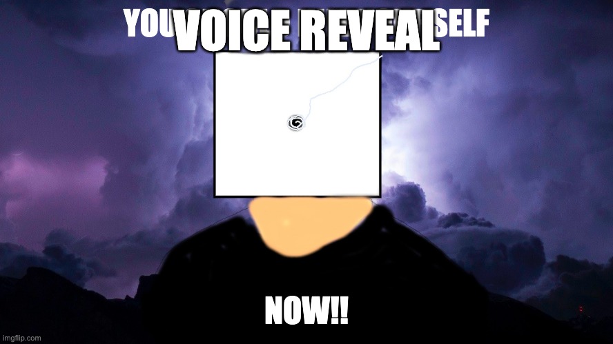 Dice k wodr | VOICE REVEAL | image tagged in dice k wodr | made w/ Imgflip meme maker