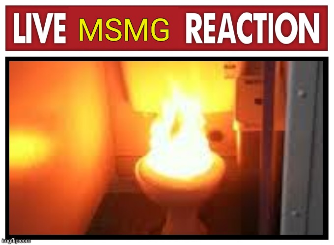 But why? Why would you do that? | MSMG | image tagged in live reaction,but why why would you do that,flaming toilet | made w/ Imgflip meme maker