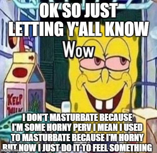 also to get my mind off of things that are stressing me out | OK SO JUST LETTING Y'ALL KNOW; I DON'T MASTURBATE BECAUSE I'M SOME HORNY PERV I MEAN I USED TO MASTURBATE BECAUSE I'M HORNY BUT NOW I JUST DO IT TO FEEL SOMETHING | image tagged in wow bob | made w/ Imgflip meme maker