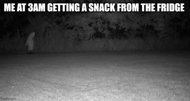 ME AT 3AM GETTING A SNACK FROM THE FRIDGE | made w/ Imgflip meme maker