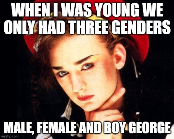 Gen X Genders | WHEN I WAS YOUNG WE ONLY HAD THREE GENDERS; MALE, FEMALE AND BOY GEORGE | image tagged in boy george | made w/ Imgflip meme maker