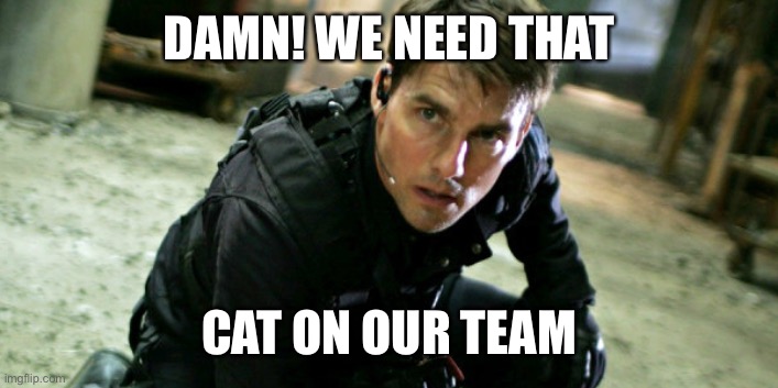 Tom Cruise, Mission Impossible | DAMN! WE NEED THAT CAT ON OUR TEAM | image tagged in tom cruise mission impossible | made w/ Imgflip meme maker