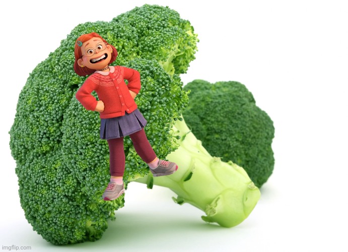 You've heard of elf on the shelf, now have | image tagged in broccoli | made w/ Imgflip meme maker