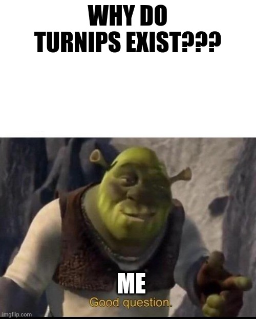 Why do turnips exist??? | WHY DO TURNIPS EXIST??? ME | image tagged in shrek | made w/ Imgflip meme maker