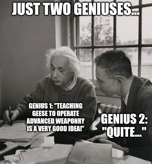 Advanced weaponry geese | JUST TWO GENIUSES... GENIUS 1: "TEACHING GEESE TO OPERATE ADVANCED WEAPONRY IS A VERY GOOD IDEA!"; GENIUS 2: "QUITE..." | image tagged in einstein and oppenheimer | made w/ Imgflip meme maker