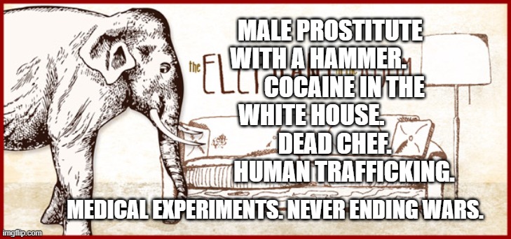 Thanks for talking about elephant in room | MALE PROSTITUTE WITH A HAMMER.            COCAINE IN THE WHITE HOUSE.               DEAD CHEF.            HUMAN TRAFFICKING. MEDICAL EXPERIMENTS. NEVER ENDING WARS. | image tagged in thanks for talking about elephant in room | made w/ Imgflip meme maker
