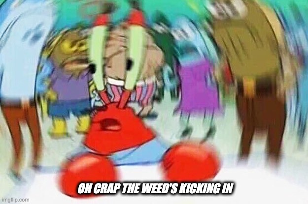 Mr.Krabs Confused | OH CRAP THE WEED'S KICKING IN | image tagged in mr krabs confused | made w/ Imgflip meme maker