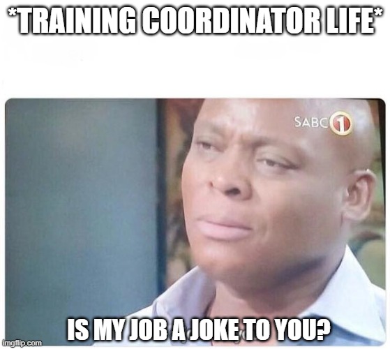 Training Life | *TRAINING COORDINATOR LIFE*; IS MY JOB A JOKE TO YOU? | image tagged in am i a joke to you | made w/ Imgflip meme maker