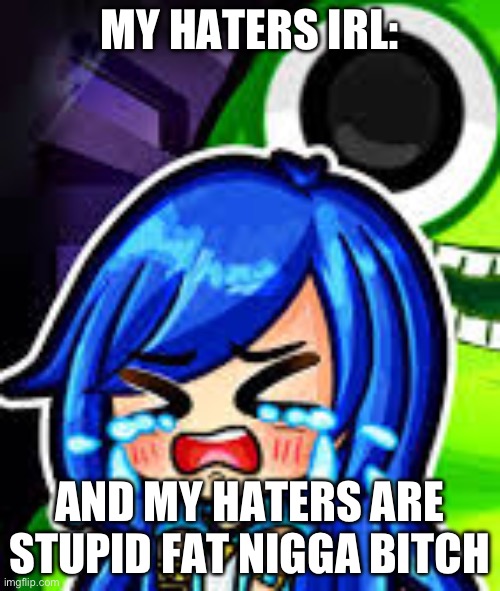 Itsfunneh crying | MY HATERS IRL:; AND MY HATERS ARE STUPID FAT NIGGA BITCH | image tagged in itsfunneh crying | made w/ Imgflip meme maker