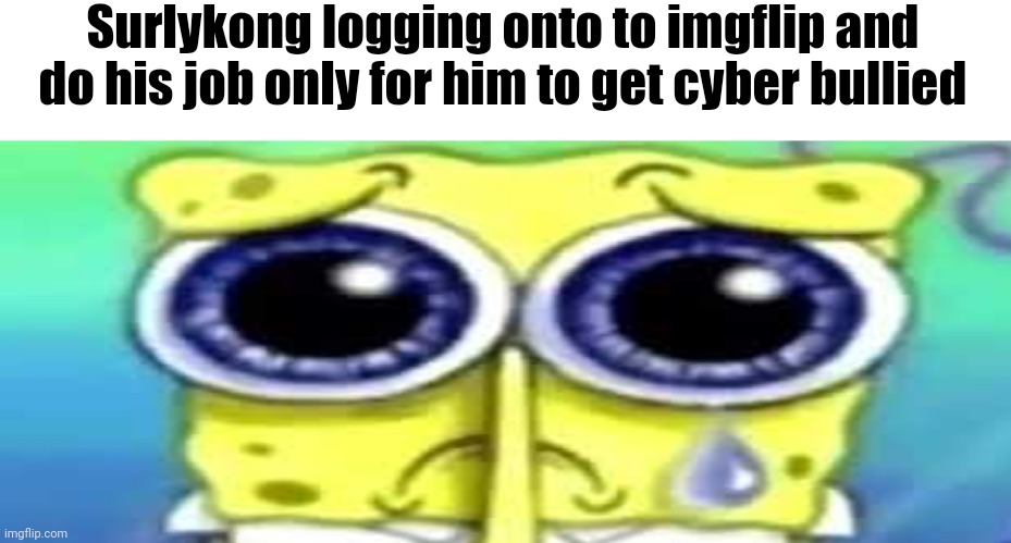 Sad Spong | Surlykong logging onto to imgflip and do his job only for him to get cyber bullied | image tagged in sad spong | made w/ Imgflip meme maker
