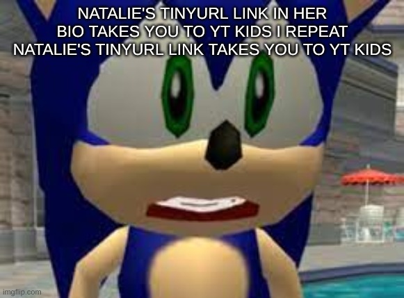 sad sonic | NATALIE'S TINYURL LINK IN HER BIO TAKES YOU TO YT KIDS I REPEAT NATALIE'S TINYURL LINK TAKES YOU TO YT KIDS | image tagged in sad sonic | made w/ Imgflip meme maker