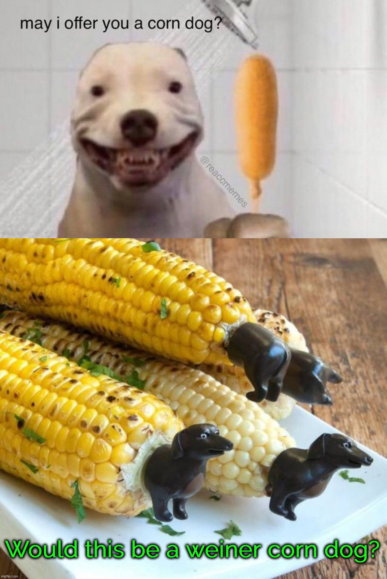 Love corndogs | Would this be a weiner corn dog? | image tagged in may i offer you a corn dog,weiner dog,corn on the cob,tasty | made w/ Imgflip meme maker