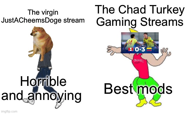 Virgin vs Chad | The Chad Turkey Gaming Streams; The virgin JustACheemsDoge stream; Best mods; Horrible and annoying | image tagged in virgin vs chad | made w/ Imgflip meme maker